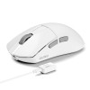 Dareu A950 Wing Dual-Mode Ultralight Wireless Gaming Mouse