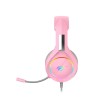 HAVIT HV-H2232d RGB Gaming Headphone