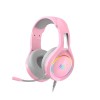 HAVIT HV-H2232d RGB Gaming Headphone