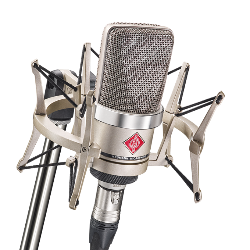 Neumann TLM 102 Large-Diaphragm Cardioid Condenser Studio Microphone