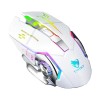 T-WOLF Q13B Wireless Gaming Mouse
